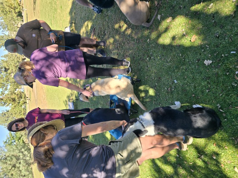Place training outdoors